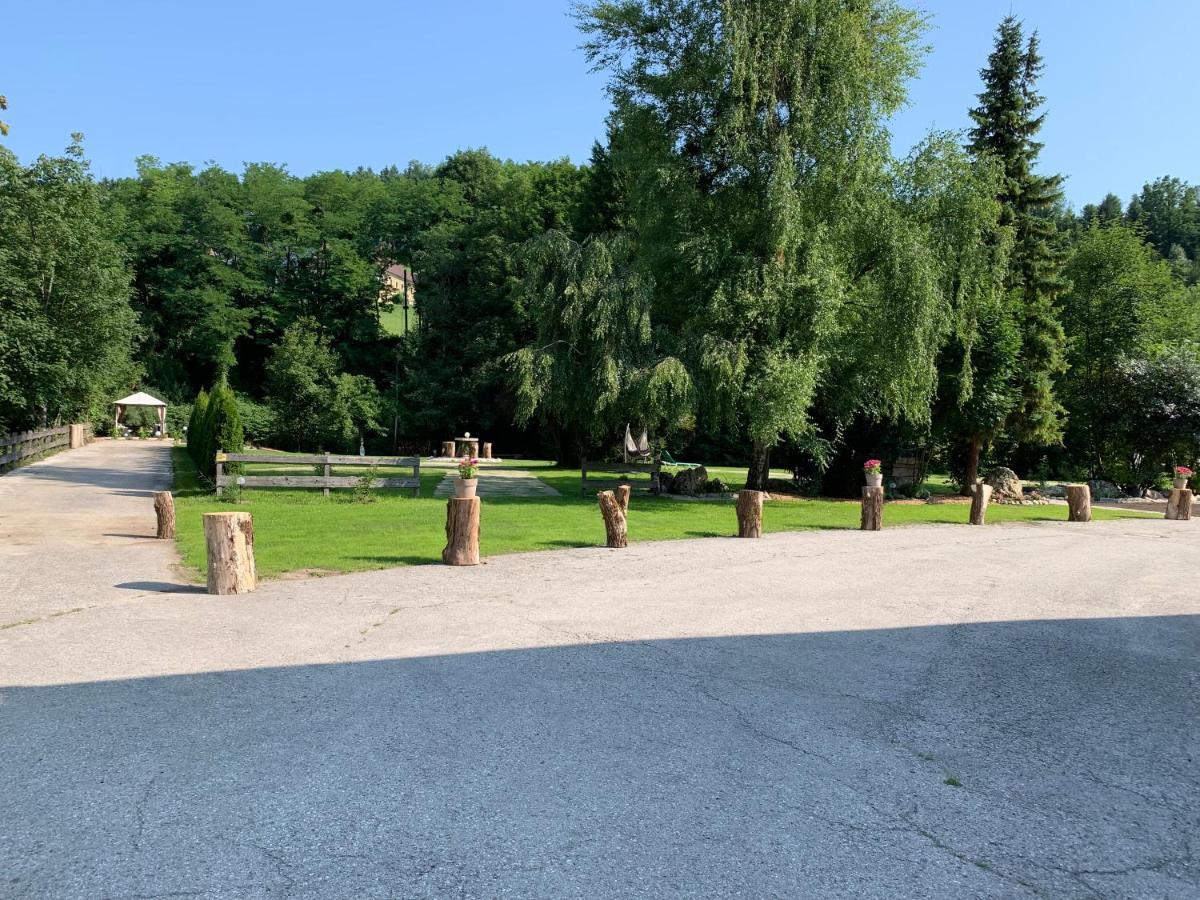 Landgasthof Steinmuehl Hofbauer Fruehstueckspension Und Campingplatz Waidhofen an der Ybbs Exteriör bild
